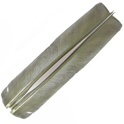 FFGene Biots de pluma de pavo