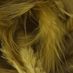 Metz plumas para hackle blando