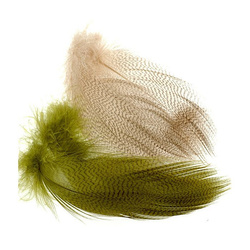 Wapsi Plumas de flanco barradas de ánade real