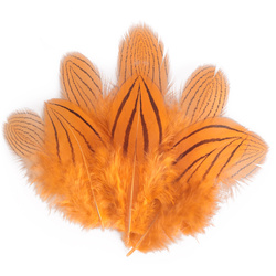 FFGene Plumas de faisán plateado