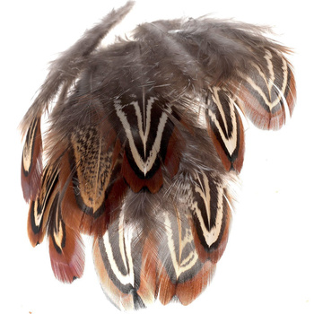 FFGene Plumas de hombro de faisán (Ventanas de iglesia)