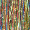 Rainbow UVR