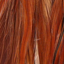 Hareline plumas de hackle de colgadera para Woolly Bugger 6-7
