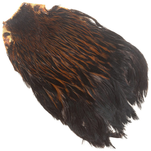 Cuello de gallina FFGene India