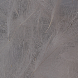 Hareline Plumas de CDC