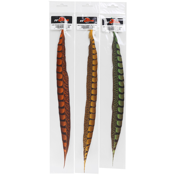 FFGene Plumas de cola de faisán de Lady Amherst
