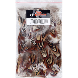 FFGene Plumas de hombro de faisán (Ventanas de iglesia)