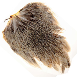 Colgadera moteada de gallina FFGene India
