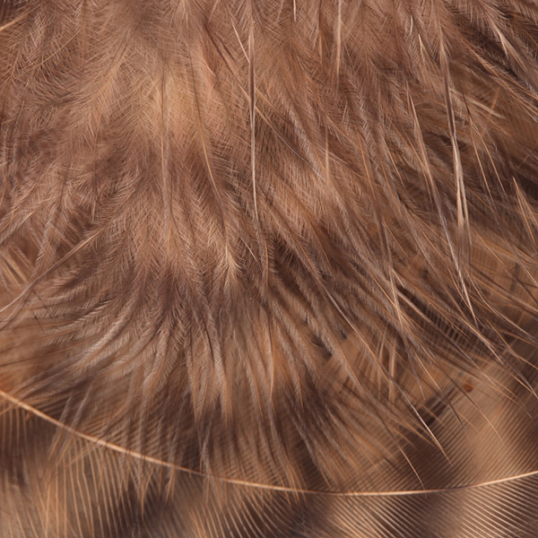 Hareline Grizzly plumas para hackle blando