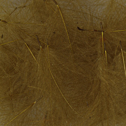 Hareline Plumas de CDC