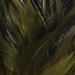 FFGene Plumas de colgadera en ristra