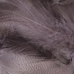 Hareline Plumas del flanco de ánade real