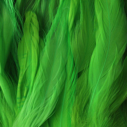 FFGene plumas Schlappen de gallo