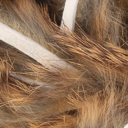 Hareline Tira de piel de conejo con pelo para zonker