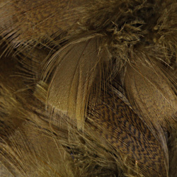 Hareline Plumas del flanco de ánade real