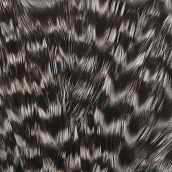 Colgadera de gallina Wapsi Grizzly