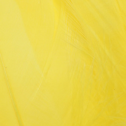 FFGene Hombros de ganso