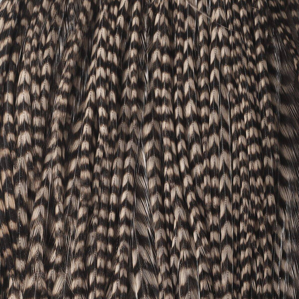 Hareline medio cuello de plumas