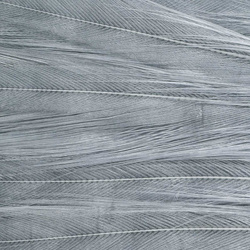 Ewing parche de plumas Deceiver teñidas