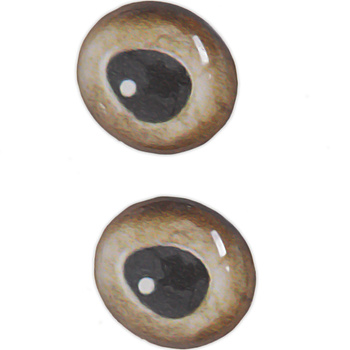 Ojos para moscas Sybai 3D Epoxy Eyes Real