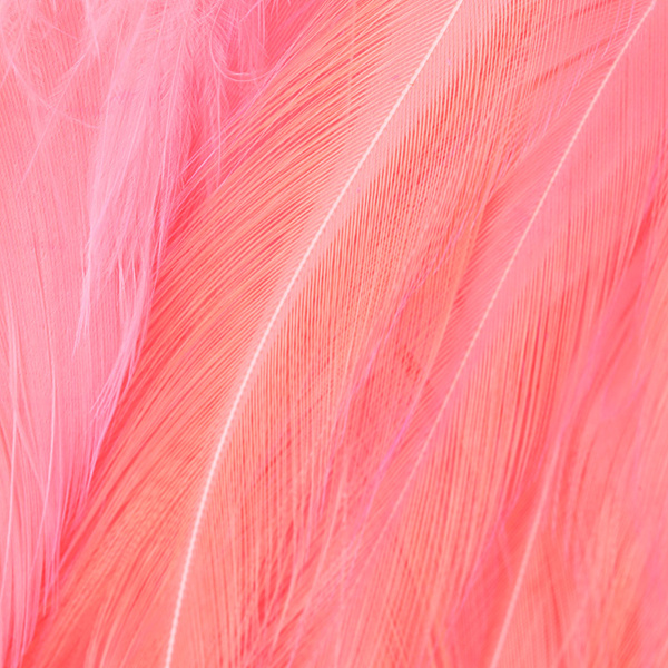Hareline plumas de colgadera de gallo chino ensartadas 5-7