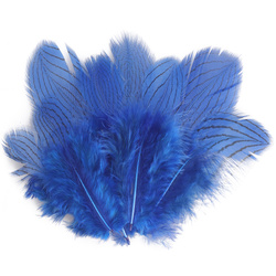 FFGene Plumas de faisán plateado