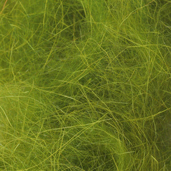 Doblaje de cabra de cachemira FFGene