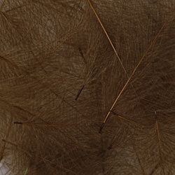 Hareline Plumas de CDC
