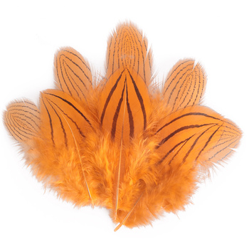 FFGene Plumas de faisán plateado