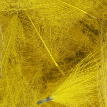 FFGene Paquete Jambo de plumas CDC teñidas - 1 gr