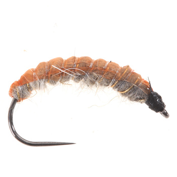 Hydropsyche Tan/Rst. Marrón