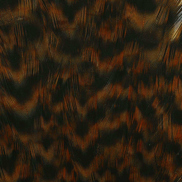 Colgadera de gallina Wapsi Grizzly