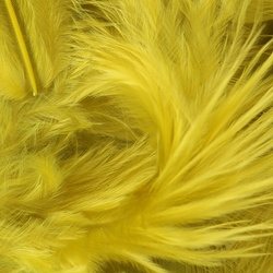 Metz plumas para hackle blando