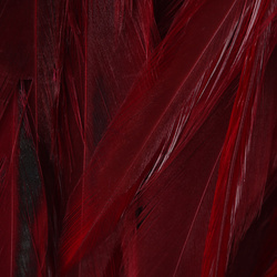 Hareline plumas de hackle de colgadera para Woolly Bugger 6-7