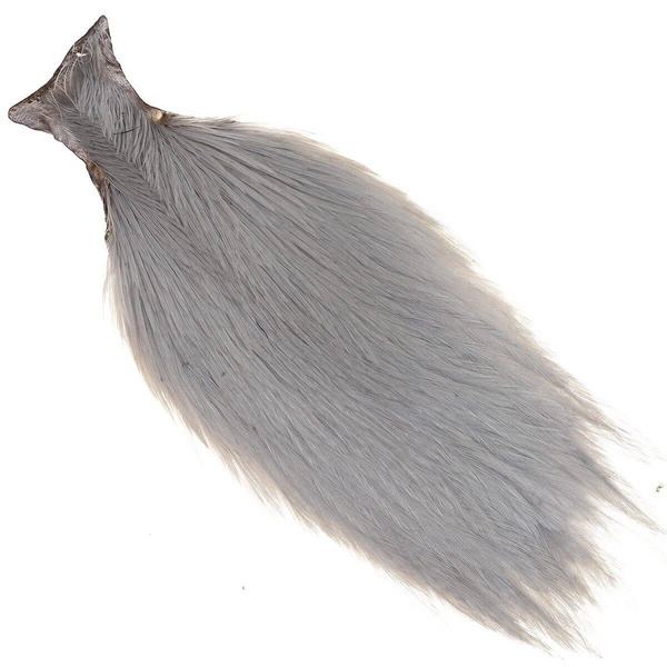 Cuello entero de gallo Ewing