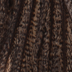 Merlán Coq De Leon Gallo Sillas de montar