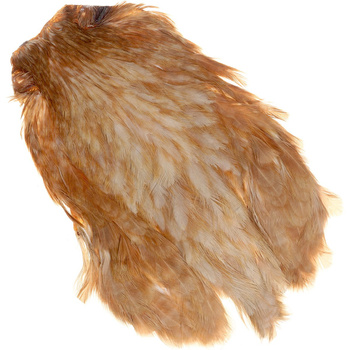 Cuello de gallina FFGene India