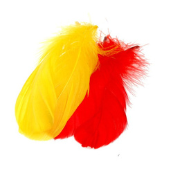 FFGene Plumas escapulares de ganso