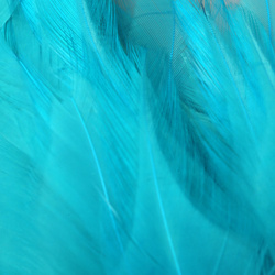 FFGene Strung Saddles Hackle