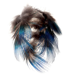 FFGene Plumas azules del cuello de pavo real