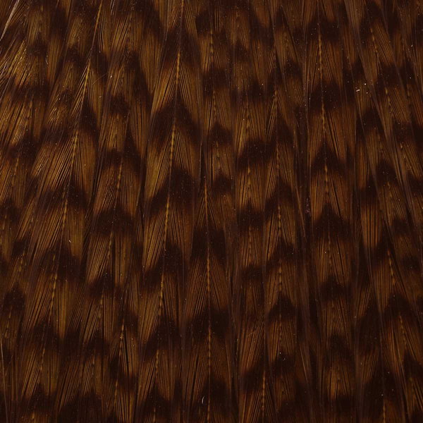Sección Sweet Spot teñida del cuello de gallo Ewing