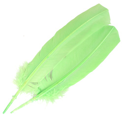 FFGene Plumas de ala de pavo