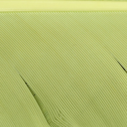 Hareline Turkey Biot Quills