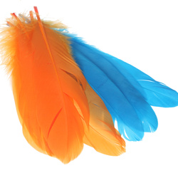 Hareline Plumas seleccionadas del hombro de oca
