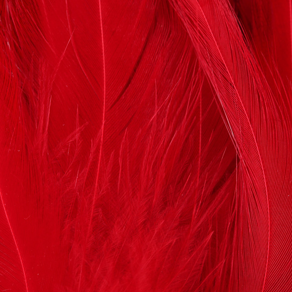 Hareline plumas de colgadera de gallo chino ensartadas 5-7