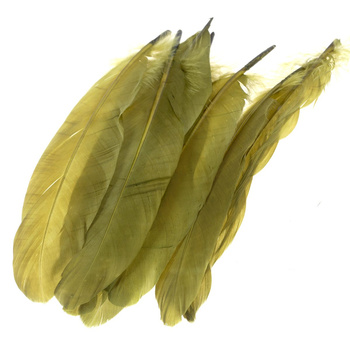 FFGene Plumas rígidas del hombro del ala de ganso