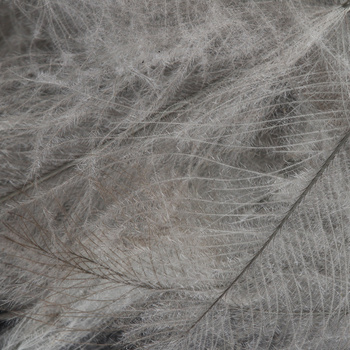 FFGene paquete Jambo de plumas CDC de oca - 1 gr