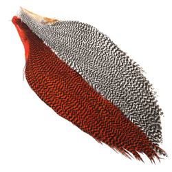 Hareline medio cuello de plumas