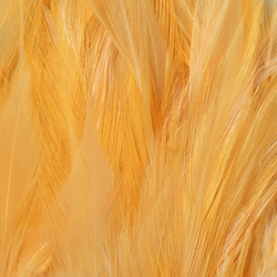 FFGene Plumas de colgadera en ristra