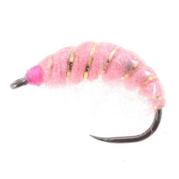 Ninfa checa acanalada rosa